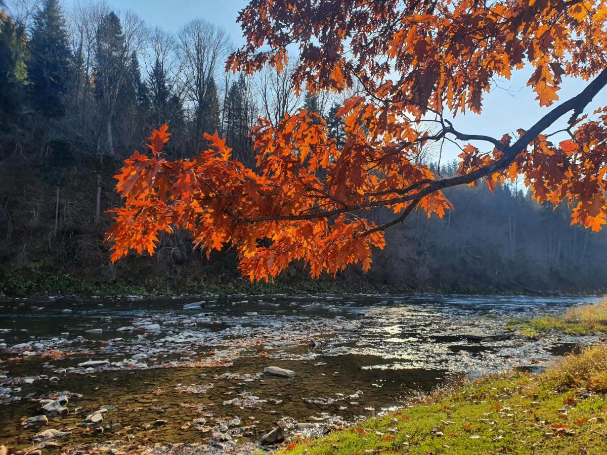 Domki U Gretka Lutowiska Exteriér fotografie
