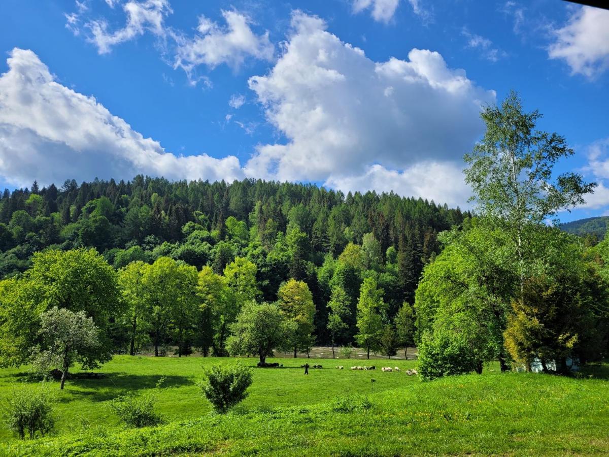 Domki U Gretka Lutowiska Exteriér fotografie