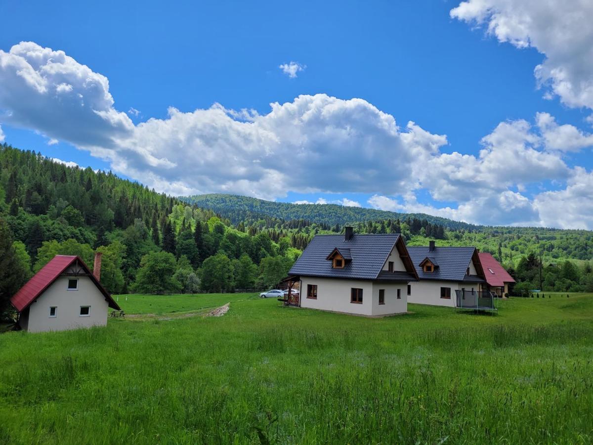 Domki U Gretka Lutowiska Exteriér fotografie